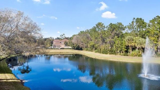 18919 DUQUESNE DRIVE, Tampa, FL 33647