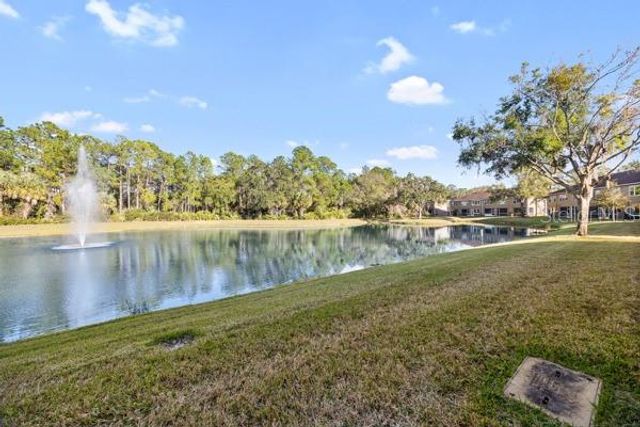 18919 DUQUESNE DRIVE, Tampa, FL 33647