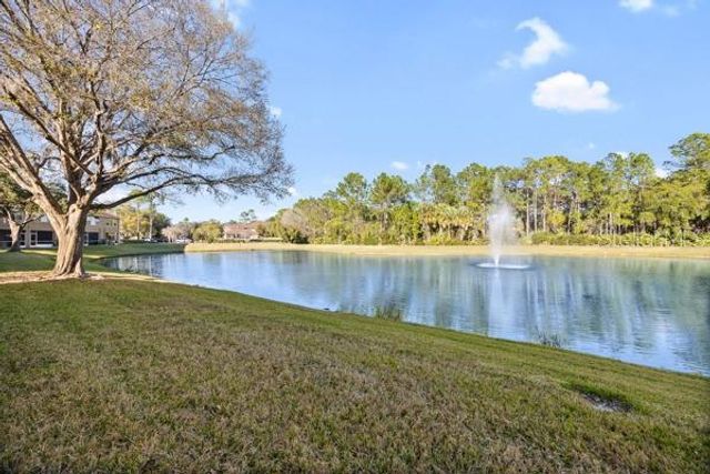 18919 DUQUESNE DRIVE, Tampa, FL 33647