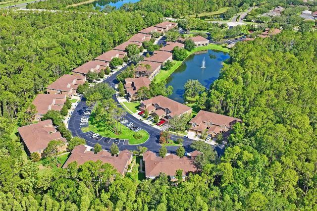 18919 DUQUESNE DRIVE, Tampa, FL 33647