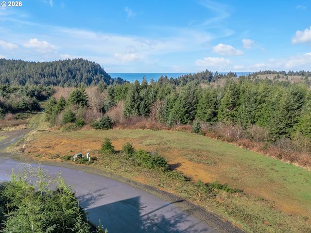 3038 Ocean View Ct, Long Beach, WA 98631