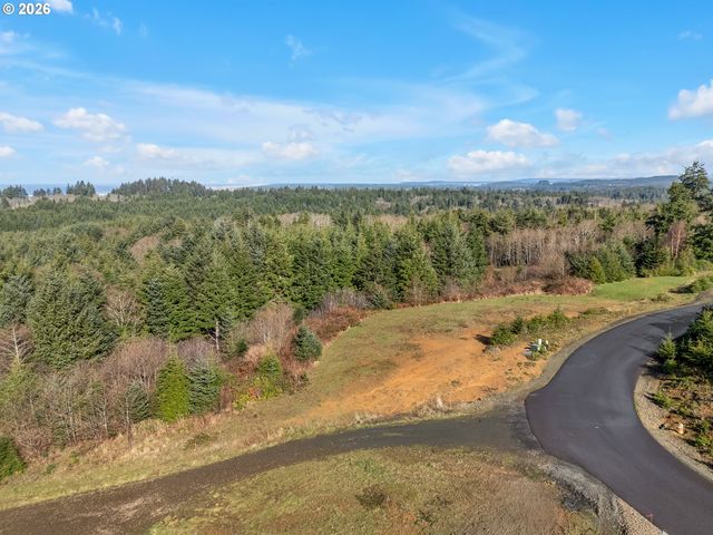 3038 Ocean View Ct, Long Beach, WA 98631