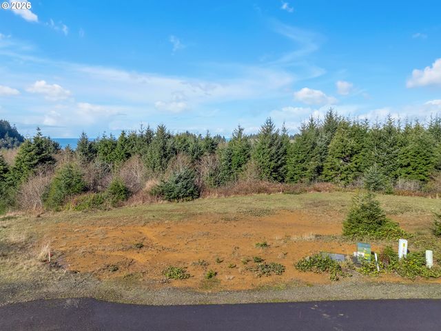 3038 Ocean View Ct, Long Beach, WA 98631