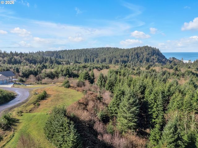 3038 Ocean View Ct, Long Beach, WA 98631