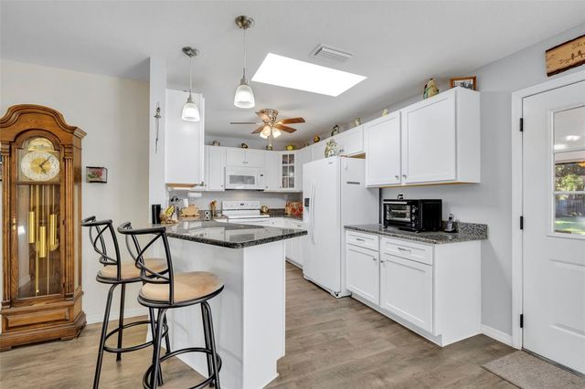 26721 BLOOMFIELD AVENUE, Yalaha, FL 34797