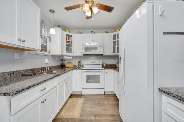 26721 BLOOMFIELD AVENUE, Yalaha, FL 34797