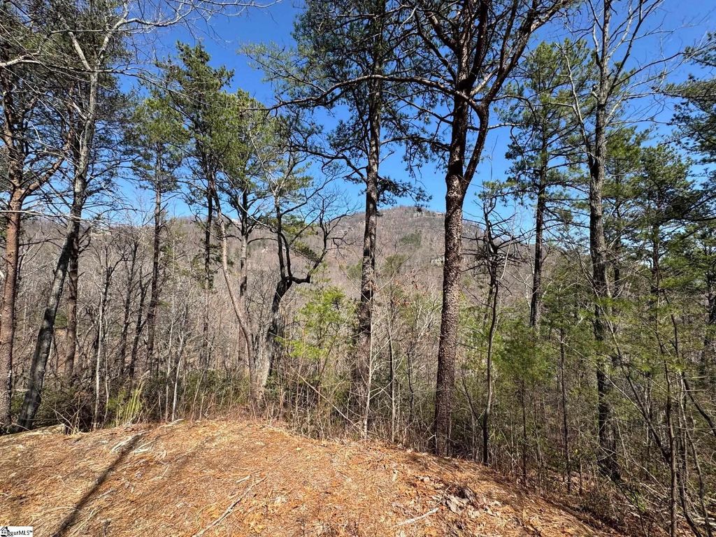 19 Foggy Ridge Way, Travelers Rest, SC 29690