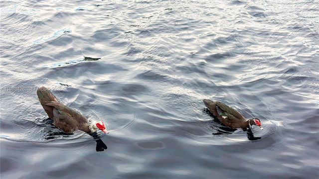 6610 E Miami Lakes Dr, Miami Lakes, FL 33014