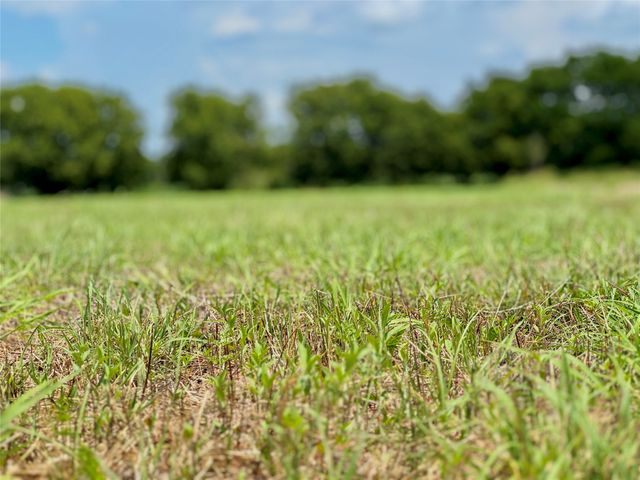 Lot 12 CR-590, Nevada, TX 75173