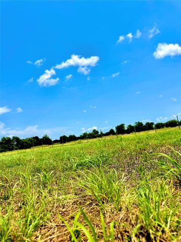 Lot 12 CR-590, Nevada, TX 75173