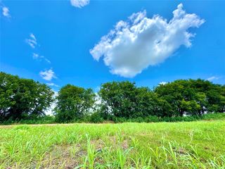 Lot 12 CR-590, Nevada, TX 75173