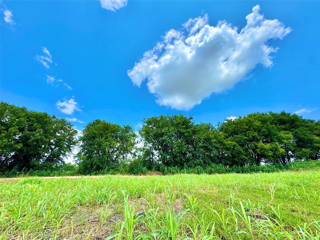 Lot 12 CR-590, Nevada, TX 75173