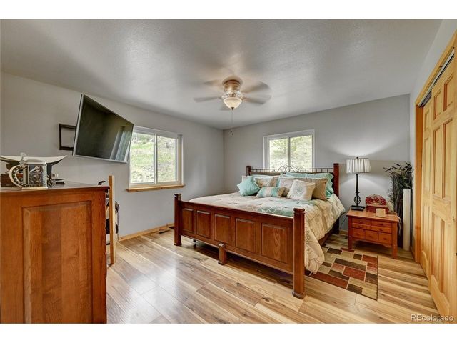 99 Peak Dr, Guffey, CO 80820