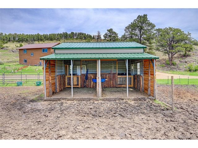 99 Peak Dr, Guffey, CO 80820