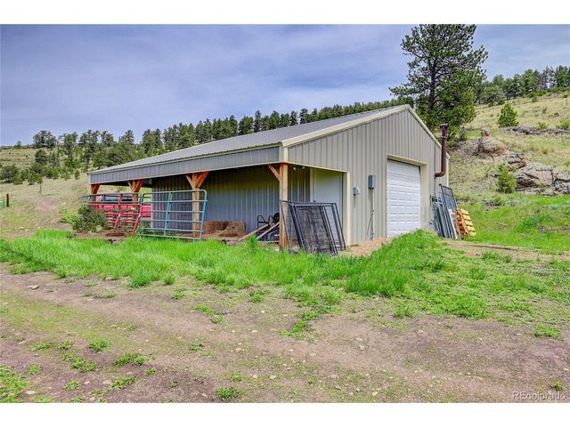 99 Peak Dr, Guffey, CO 80820