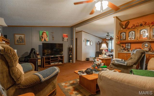 5633 Missouri T, Puxico, MO 63960