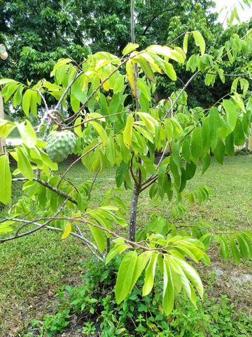 4001 Avocado Boulevard, West Palm Beach, FL 33411