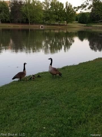 37814 Avon Lane, Farmington Hills, MI 48331