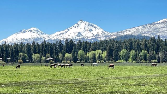 70948 Mules Ear, Black Butte Ranch, OR 97759