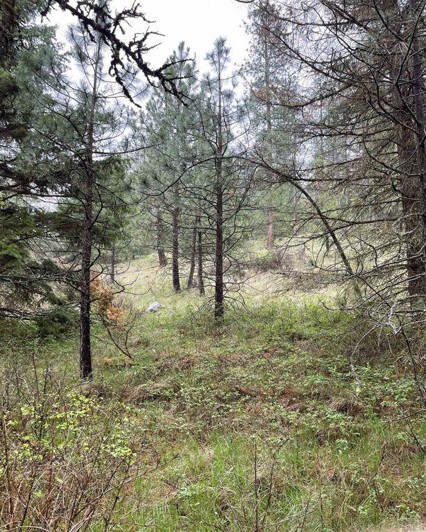 3561 Ravenwood Way, Valley, WA 99181 photo 8