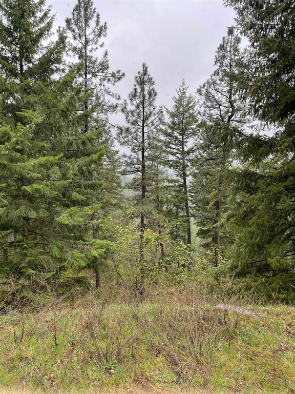 3561 Ravenwood Way, Valley, WA 99181 photo 9