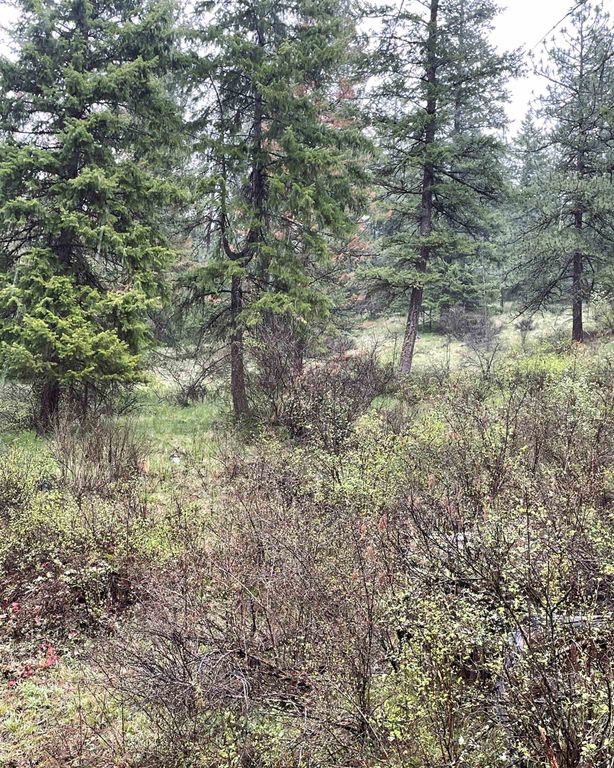 3561 Ravenwood Way, Valley, WA 99181 photo 10