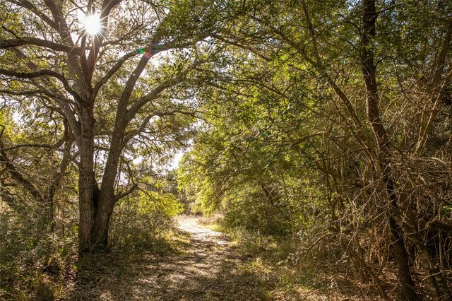 11107 Mt Falls School RD, Washington, TX 77880