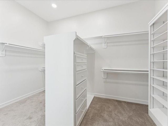 11404 Island Manor Street, Pearland, TX 77584