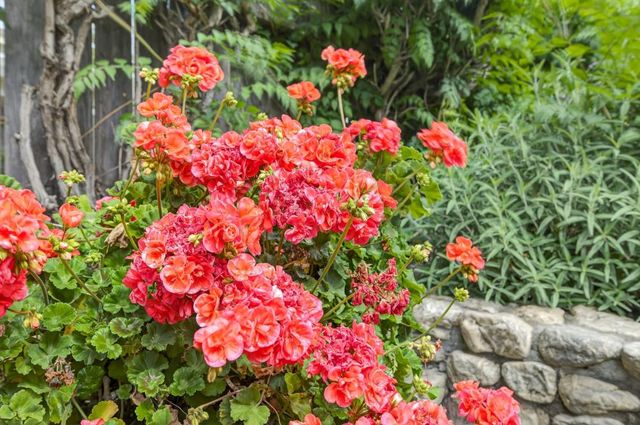 1817 Titian Ct, Davis, CA 95618