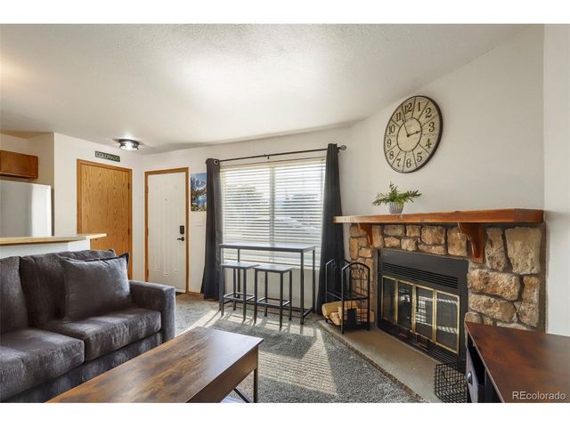 4266 S Eldridge St 101, Morrison, CO 80465