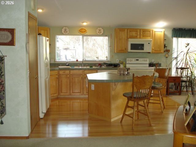 218 JACOB HALE Way, Roseburg, OR 97471