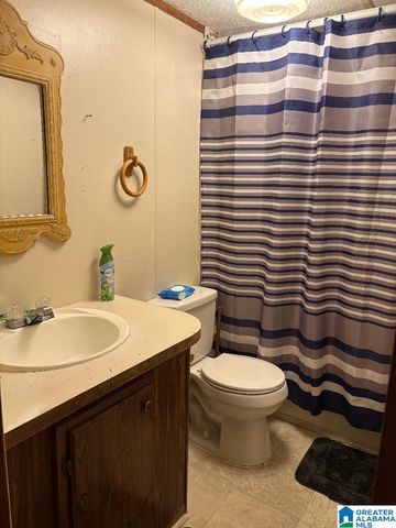 375 FIRE TOWER ROAD, Cordova, AL 35550