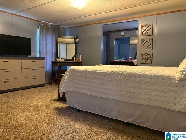 375 FIRE TOWER ROAD, Cordova, AL 35550