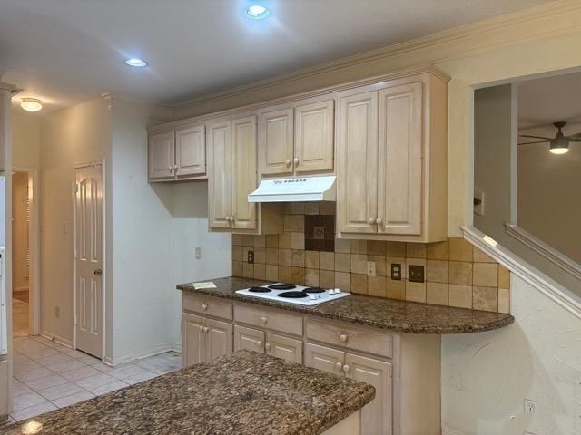 15218 Foster Springs Lane, Houston, TX 77095