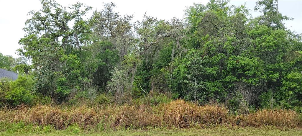SPRUCE ROAD, Ocala, FL 34472