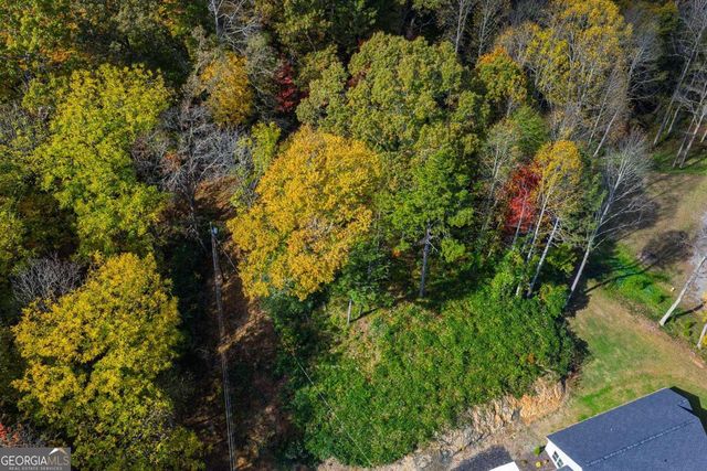 0 Hill Street, East Ellijay, GA 30540