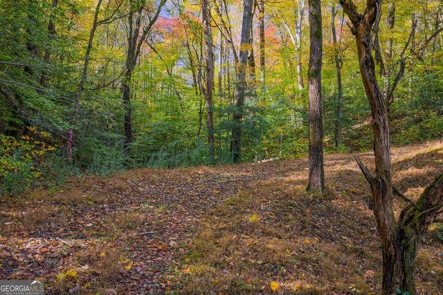 0 Hill Street, East Ellijay, GA 30540