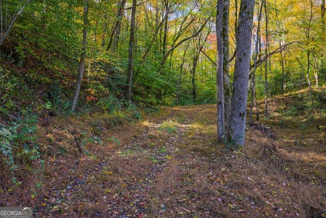 0 Hill Street, East Ellijay, GA 30540
