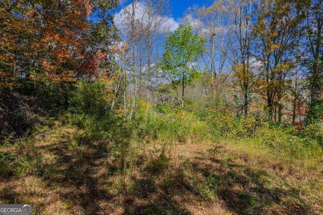 0 Hill Street, East Ellijay, GA 30540