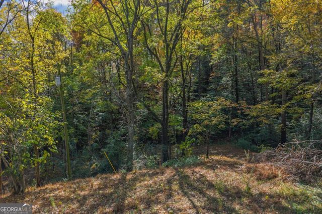 0 Hill Street, East Ellijay, GA 30540
