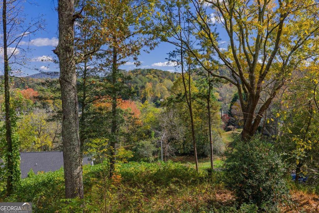 0 Hill Street, East Ellijay, GA 30540