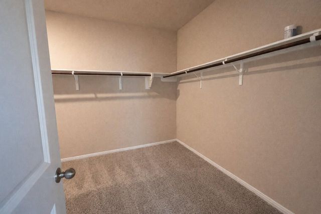 31122 Gullwing Manor Drive, Tomball, TX 77375