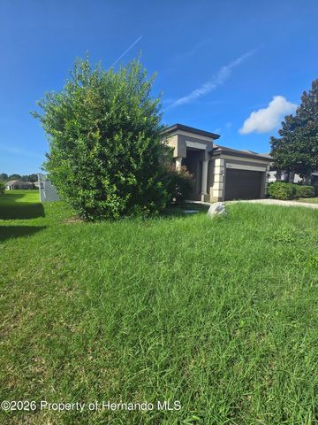 14282 Saltby Place, Spring Hill, FL 34609