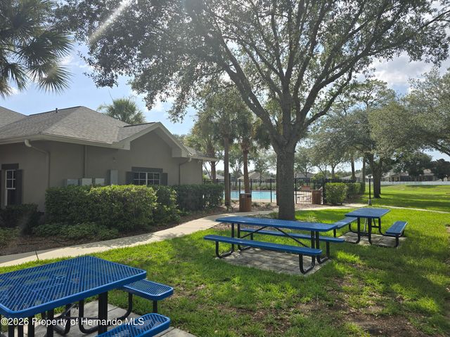 14282 Saltby Place, Spring Hill, FL 34609