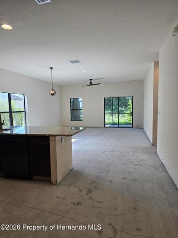 14282 Saltby Place, Spring Hill, FL 34609