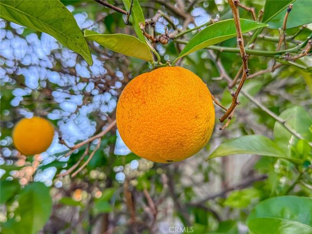 187 Tennyson, Thousand Oaks, CA 91360