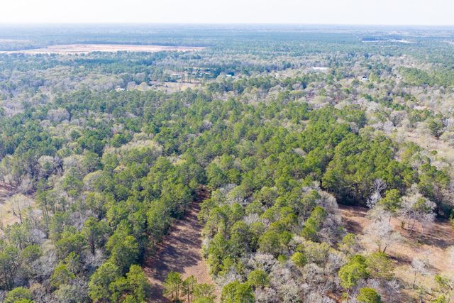 6698 Pine Shadows Road, Cleveland, TX 77328
