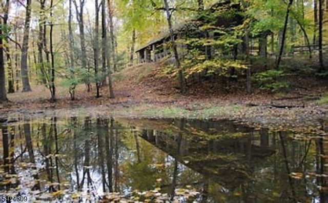 11 Devonald Dr, Bethlehem Twp., NJ 08802