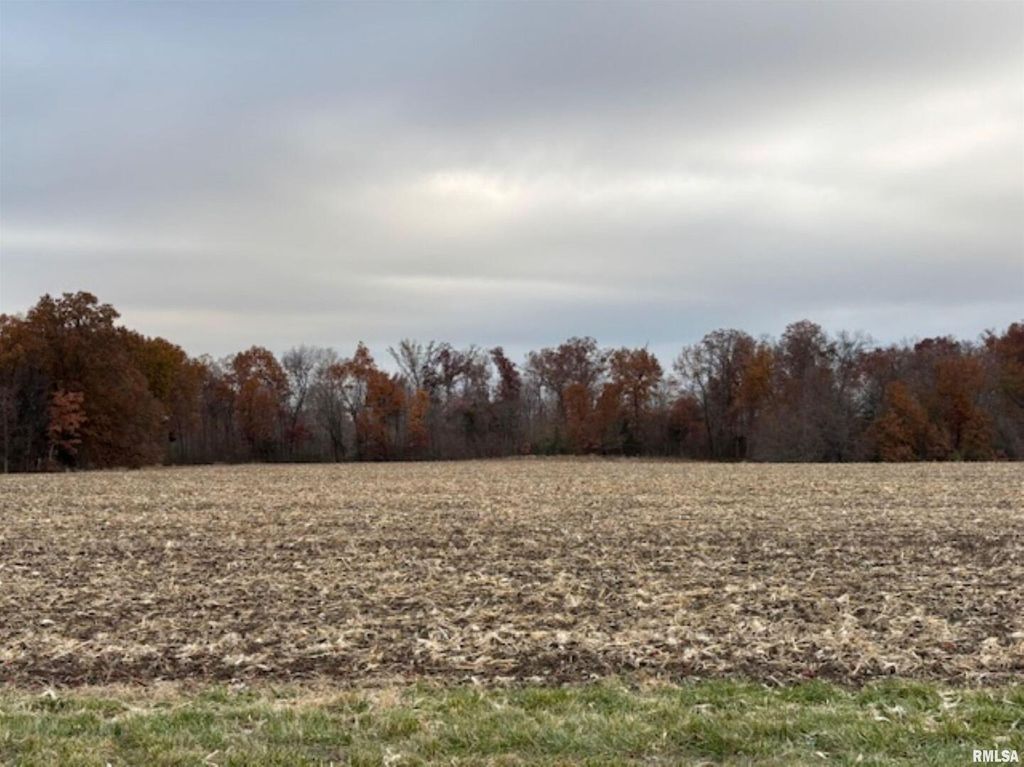 Image 1 of property listing at 000A Alma Hatchery Road, Odin, IL 62870