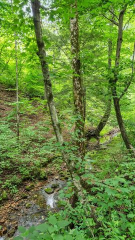 488 Prater Rd, Smithville, TN 37166